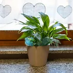 Casa Terra Mia Дом отдыха Кабрас